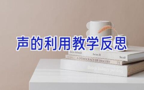 声的利用教学反思