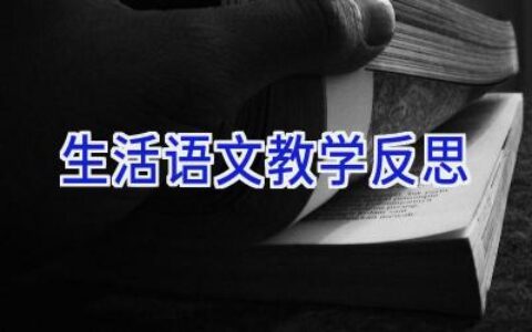 生活语文教学反思