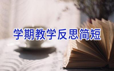 学期教学反思简短