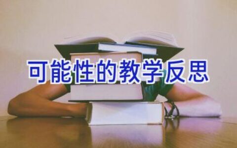 可能性的教学反思