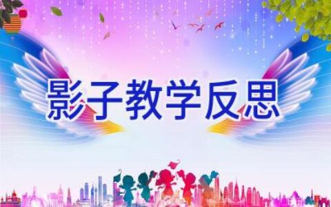 影子教学反思