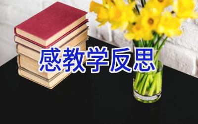 感教学反思