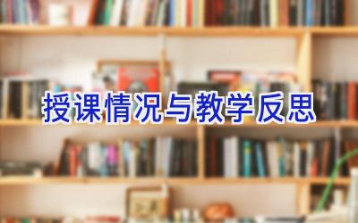 授课情况与教学反思