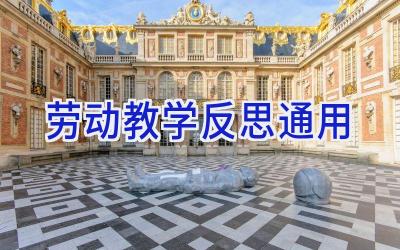 劳动教学反思通用