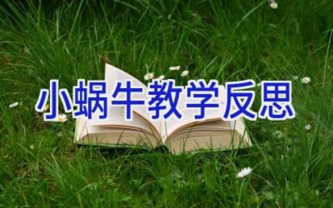 小蜗牛教学反思