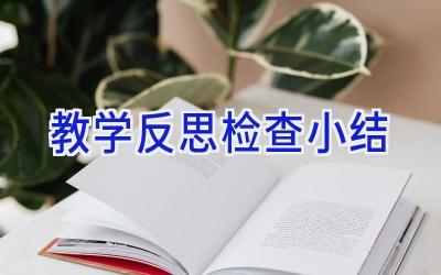 教学反思检查小结