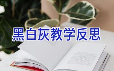黑白灰教学反思