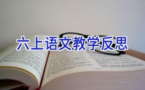 六上语文教学反思
