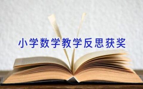 小学数学教学反思获奖