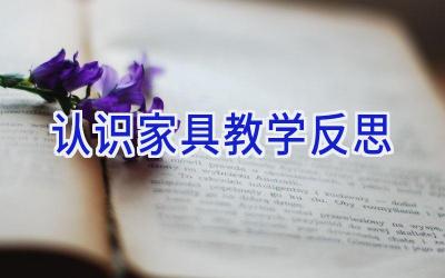 认识家具教学反思
