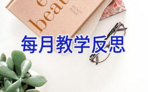 每月教学反思