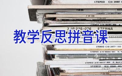 教学反思拼音课