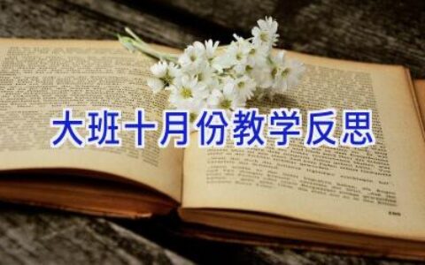 大班十月份教学反思