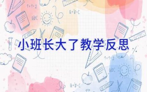 小班长大了教学反思