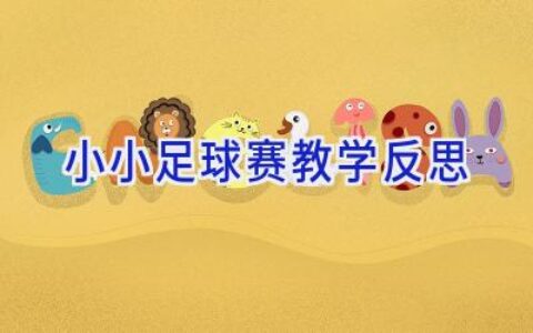 小小足球赛教学反思