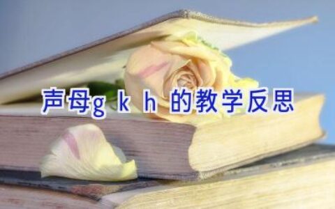 声母gkh的教学反思