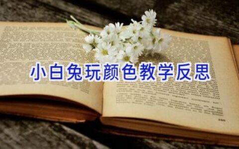 小白兔玩颜色教学反思