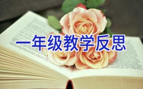 一年级教学反思