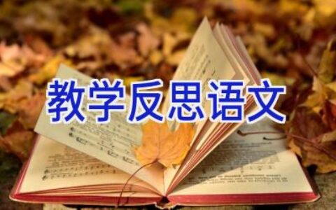 教学反思语文