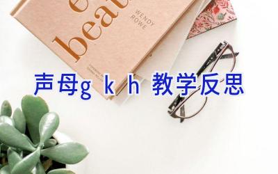 声母gkh教学反思