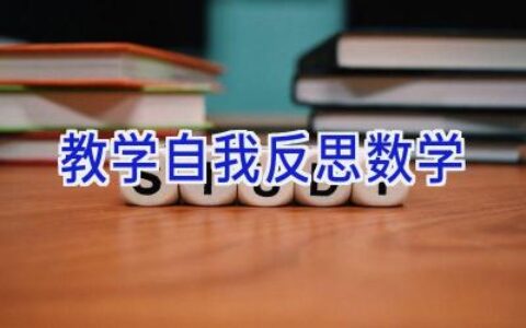 教学自我反思数学