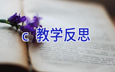 c教学反思