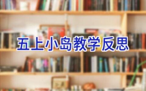 五上小岛教学反思