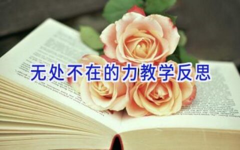 无处不在的力教学反思