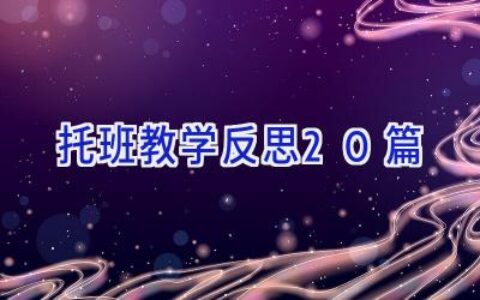 托班教学反思20篇