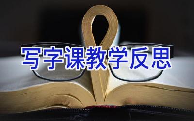 写字课教学反思