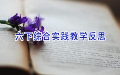 六下综合实践教学反思