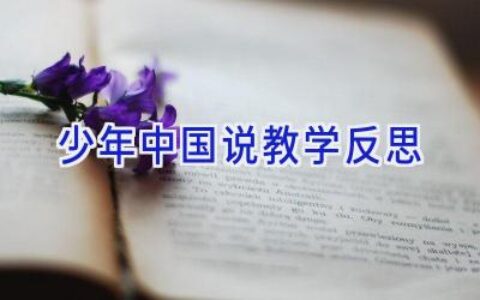 少年中国说教学反思
