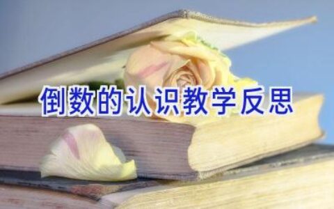 倒数的认识教学反思