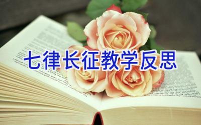 七律长征教学反思