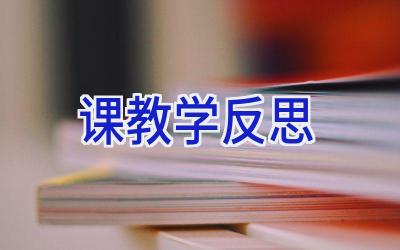 课教学反思