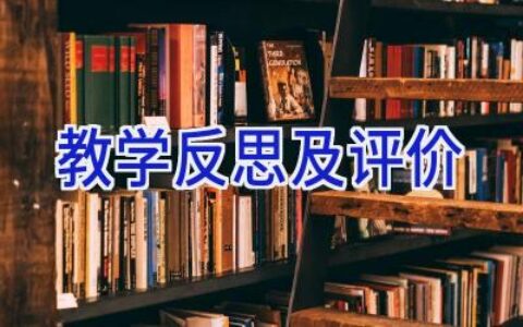 教学反思及评价