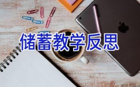 储蓄教学反思
