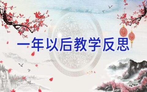 一年以后教学反思