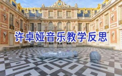许卓娅音乐教学反思