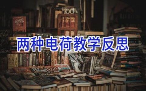 两种电荷教学反思
