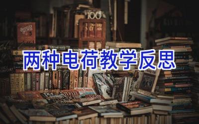 两种电荷教学反思