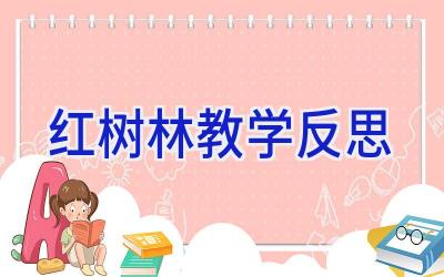 红树林教学反思
