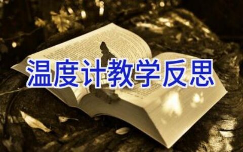 温度计教学反思