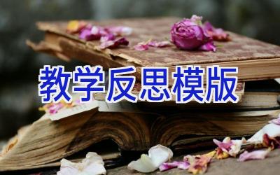教学反思模版