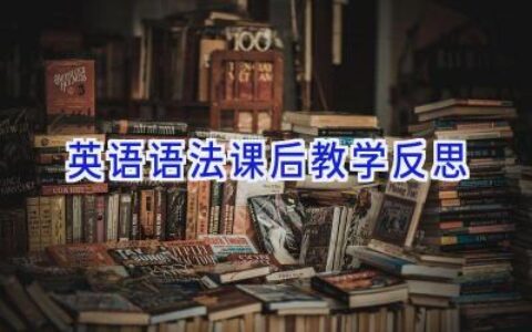 英语语法课后教学反思