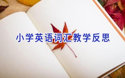 小学英语词汇教学反思