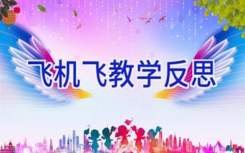 飞机飞教学反思