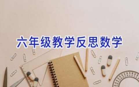 六年级教学反思数学