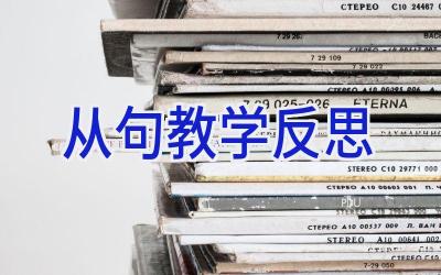 从句教学反思