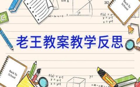 老王教案教学反思